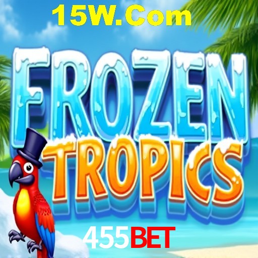 Interface Premium 455Bet